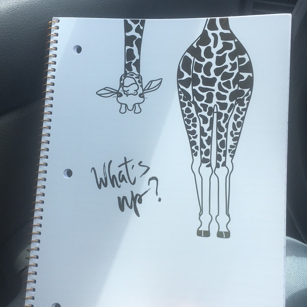Unused Metallic giraffe notebook